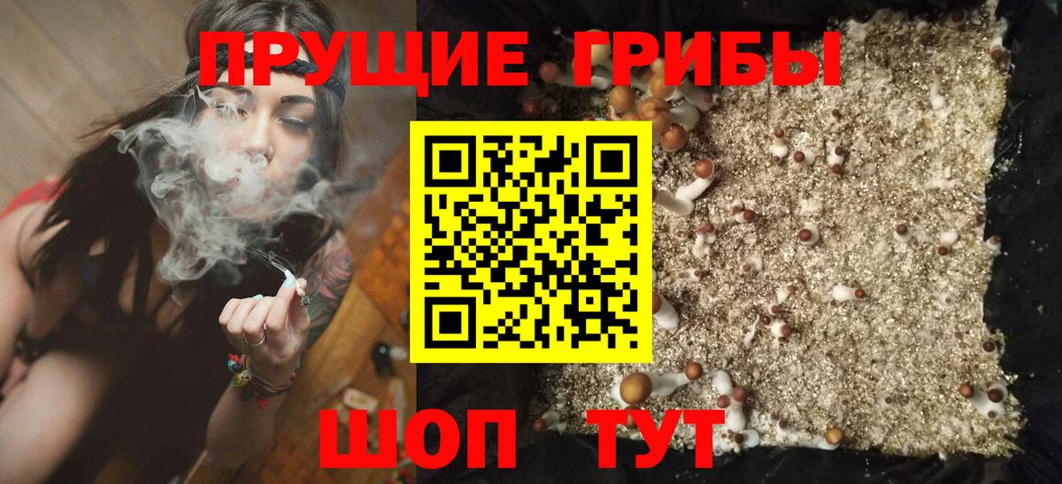 Анжеро-Судженск  Псилоцибиновые грибы MAGIC MUSHROOMS  Вход с VPN 